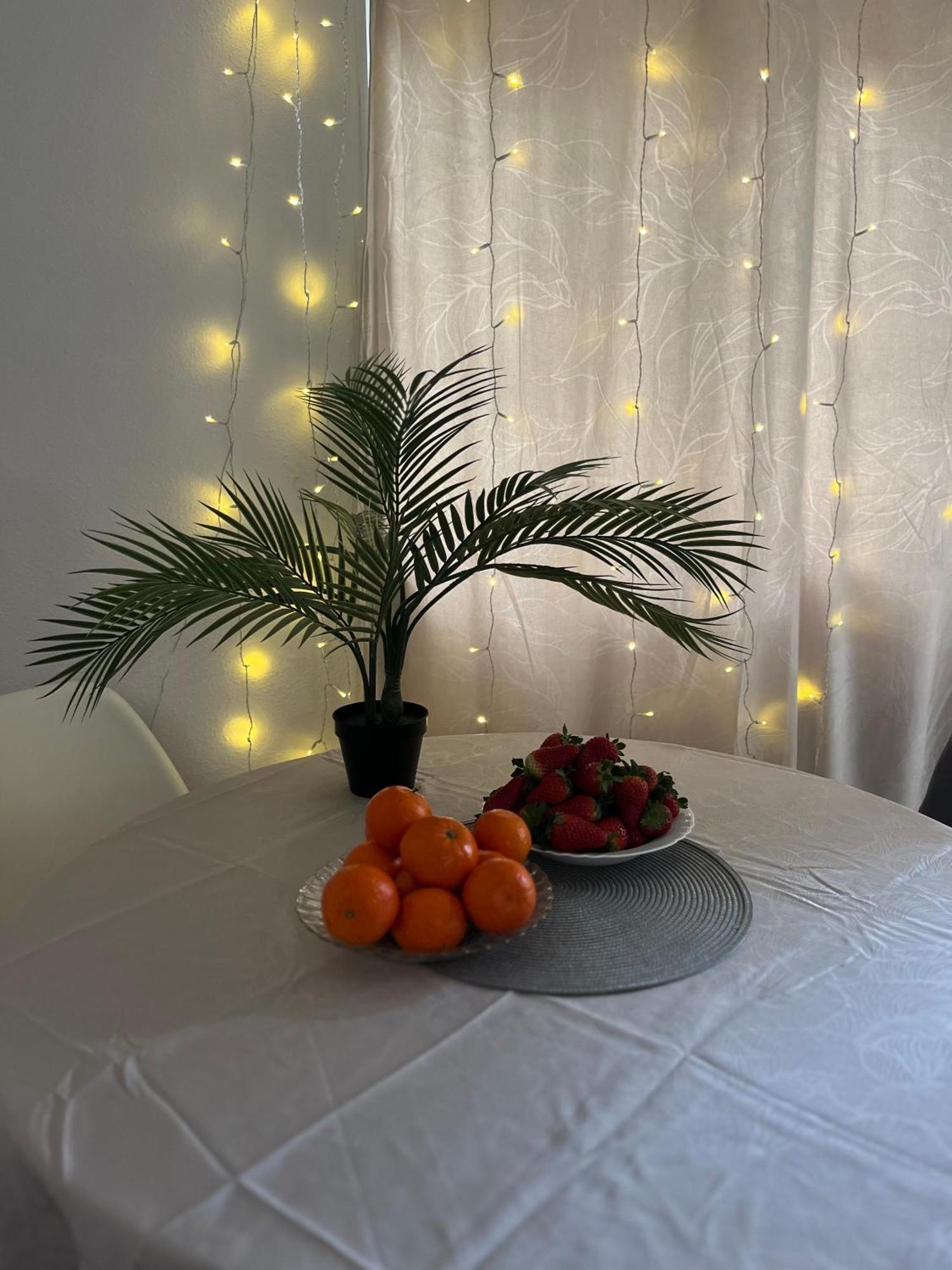 Magdalena Apartament 또레비에하 외부 사진